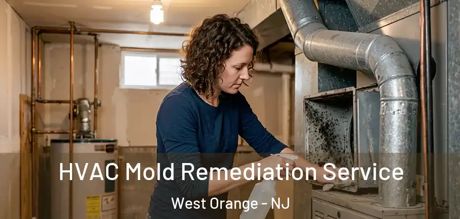 HVAC Mold Remediation Service West Orange - NJ